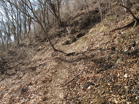 20180116hike (43)